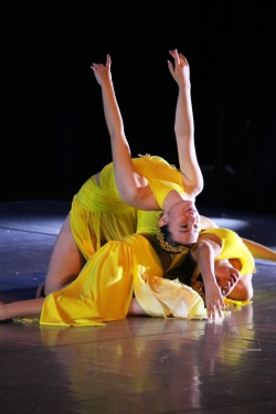 20   Fusion 14